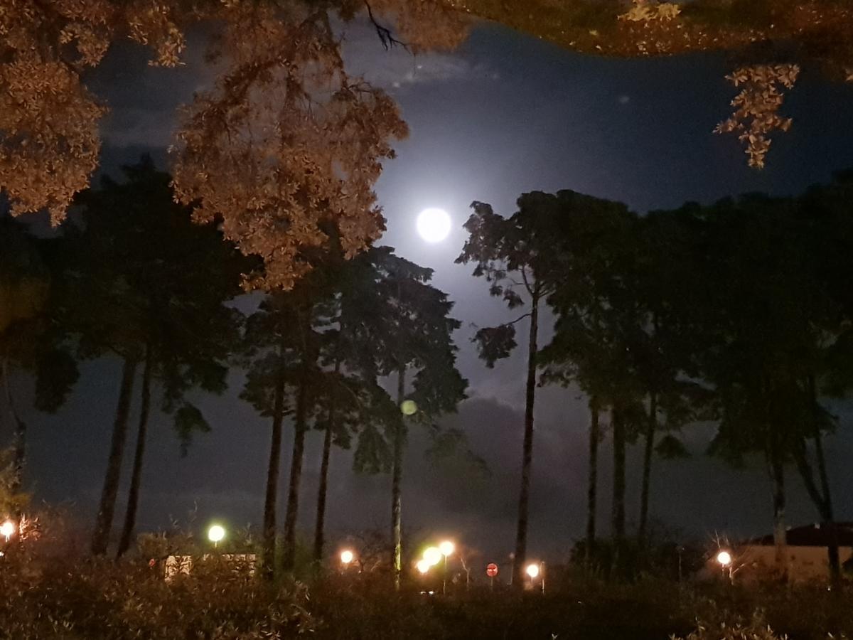ホテル Casa Dos Tios ファティマ エクステリア 写真